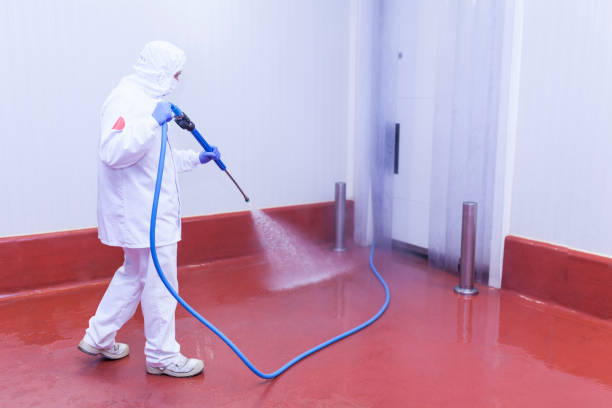 Best Dumpster Area Cleaning  in Dagsboro, DE